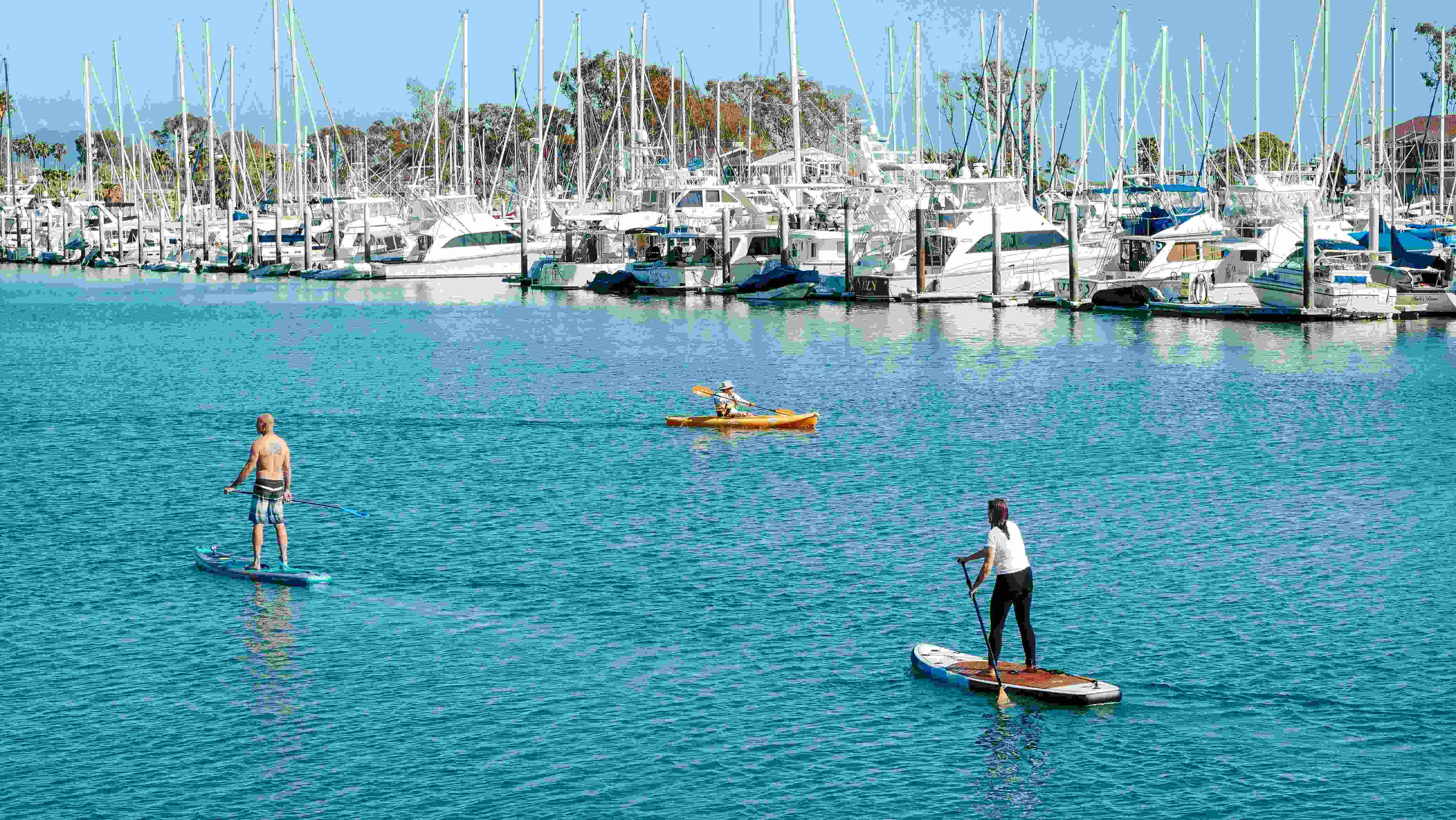 Anaheim Bus Tours — Coastal Run to Marina Del Rey