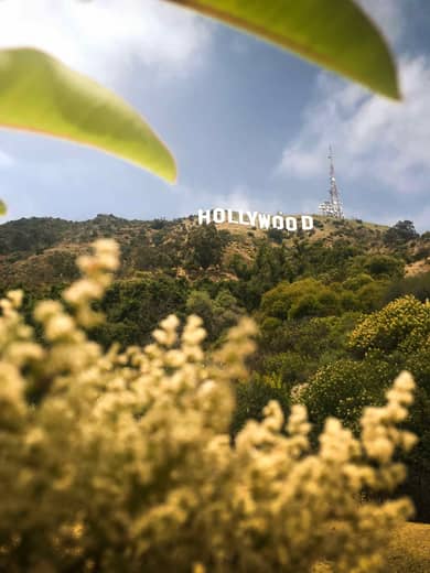 Hollywood Sign